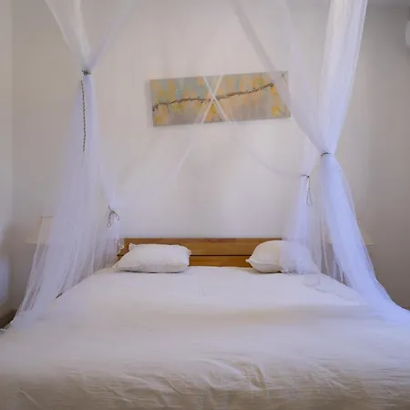 Myosotis Apartmán Toulon